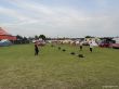 28_Jollyball